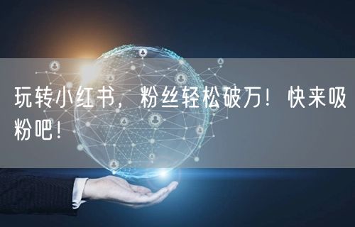 玩转小红书,粉丝轻松破万!快来吸粉吧!