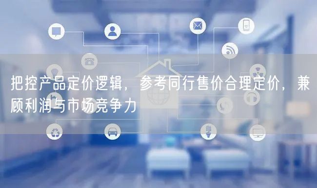 把控产品定价逻辑，参考同行售价合理定价，兼顾利润与市场竞争力