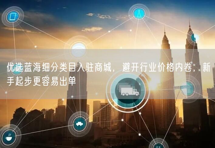 优选蓝海细分类目入驻商城，避开行业价格内卷，新手起步更容易出单
