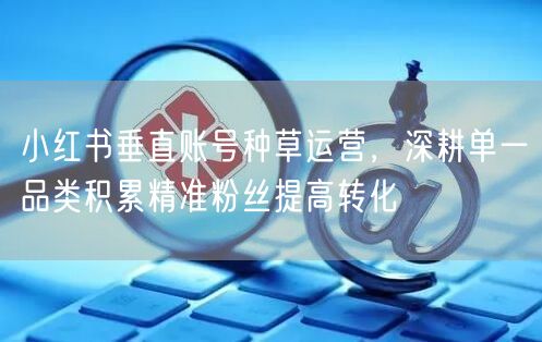 小红书垂直账号种草运营，深耕单一品类积累精准粉丝提高转化