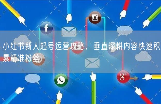 小红书新人起号运营攻略，垂直深耕内容快速积累精准粉丝