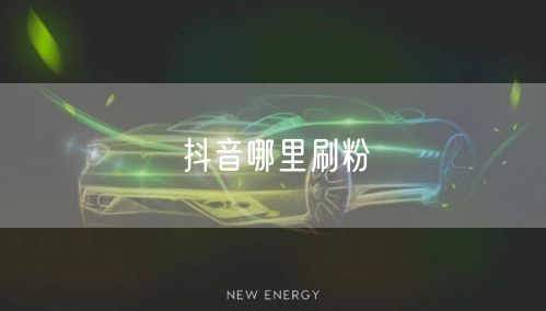 抖音哪里刷粉
