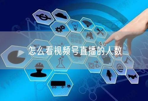 怎么看视频号直播的人数