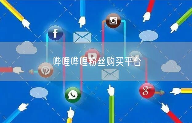 哔哩哔哩粉丝购买平台