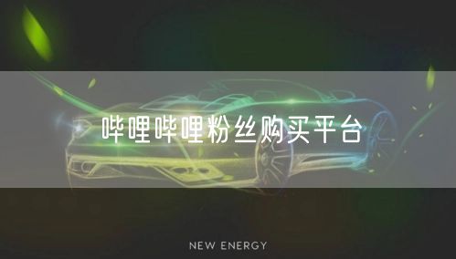 哔哩哔哩粉丝购买平台