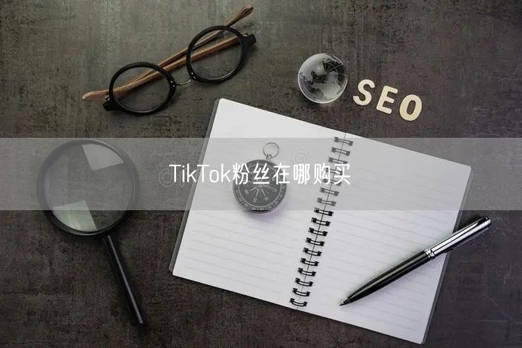 TikTok粉丝在哪购买