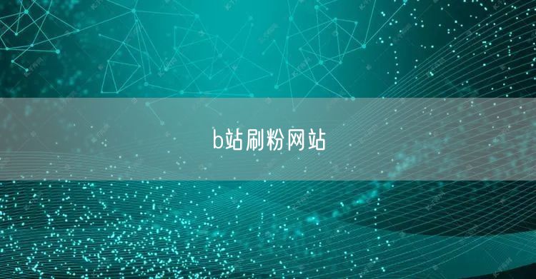 b站刷粉网站