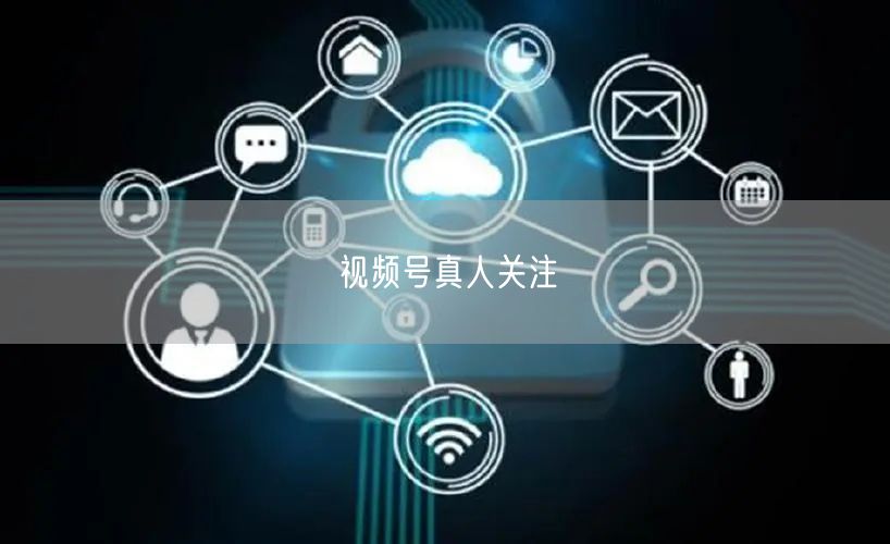 视频号真人关注