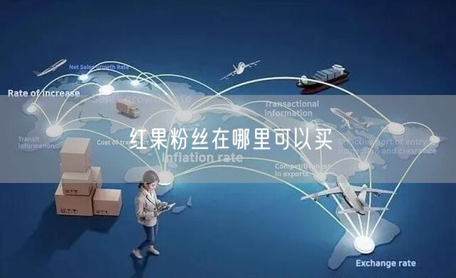 红果粉丝在哪里可以买