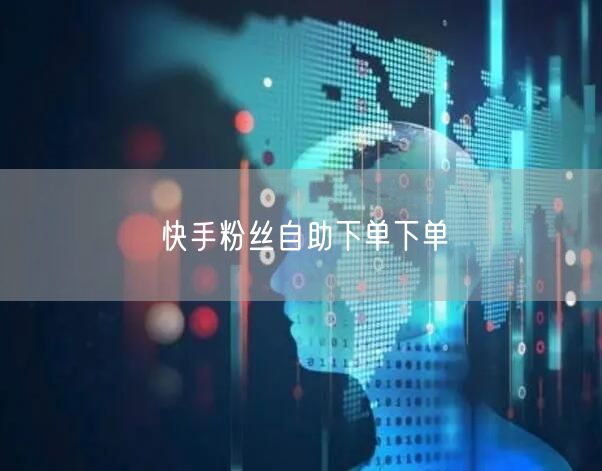 快手粉丝自助下单下单