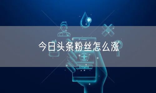 今日头条粉丝怎么涨