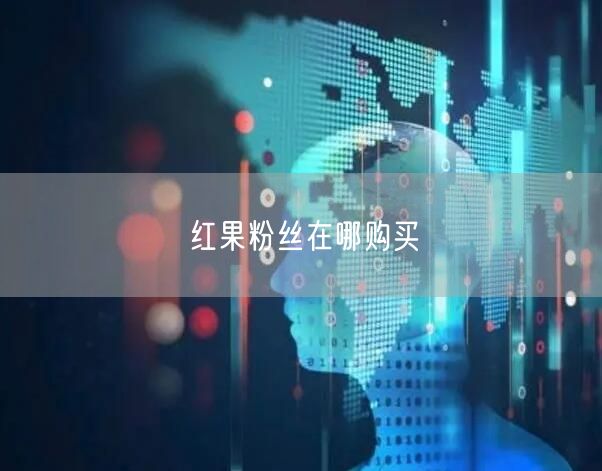 红果粉丝在哪购买
