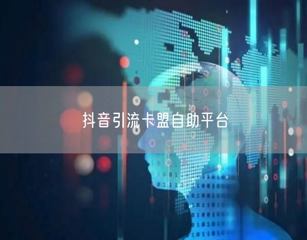 抖音引流卡盟自助平台