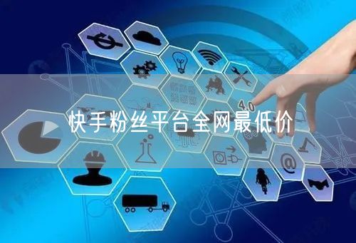 快手粉丝平台全网最低价