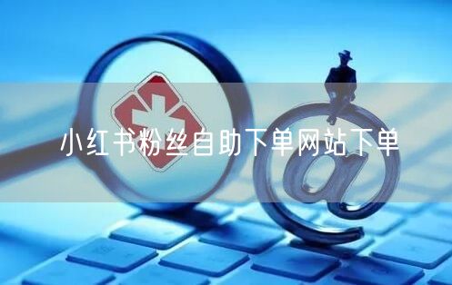 小红书粉丝自助下单网站下单