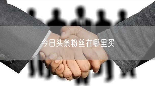 今日头条粉丝在哪里买
