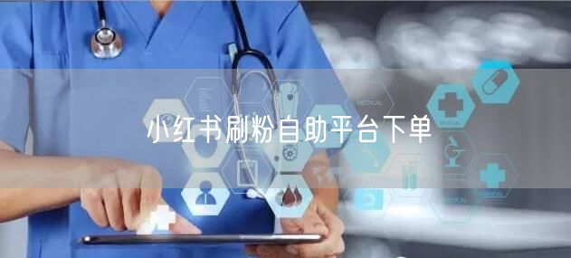 小红书刷粉自助平台下单