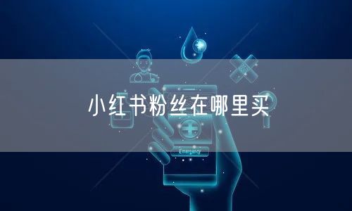 小红书粉丝在哪里买