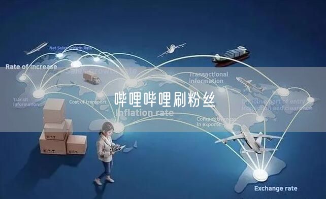 哔哩哔哩刷粉丝