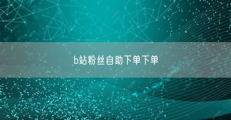b站粉丝自助下单下单