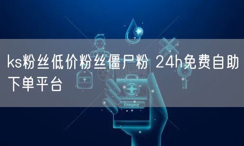 ks粉丝低价粉丝僵尸粉 24h免费自助下单平台