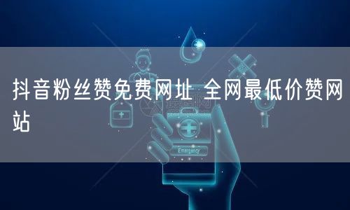 抖音粉丝赞免费网址 全网最低价赞网站