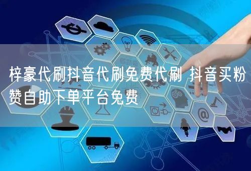 梓豪代刷抖音代刷免费代刷 抖音买粉赞自助下单平台免费