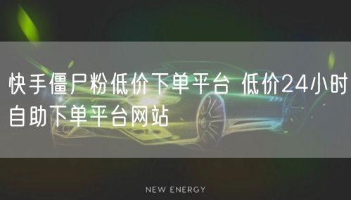 快手僵尸粉低价下单平台 低价24小时自助下单平台网站