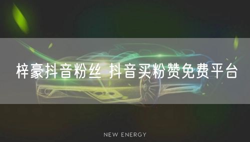 梓豪抖音粉丝 抖音买粉赞免费平台