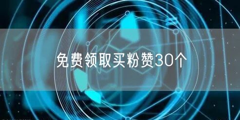 免费领取买粉赞30个