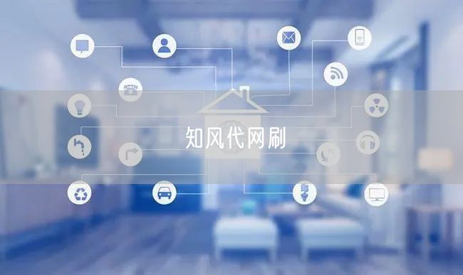 知风代网刷