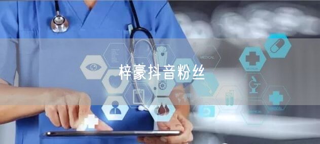 梓豪抖音粉丝