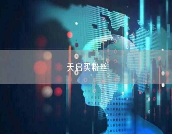 天启买粉丝