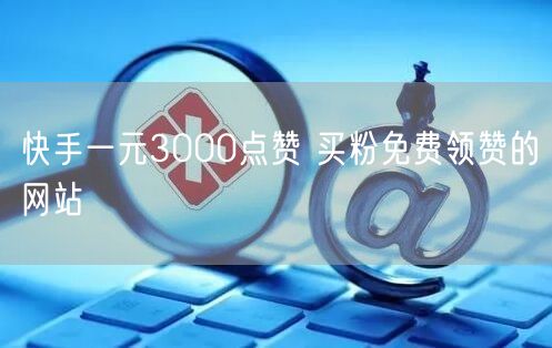 快手一元3000点赞 买粉免费领赞的网站