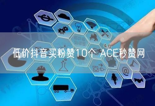 低价抖音买粉赞10个 ACE秒赞网