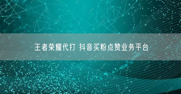 王者荣耀代打 抖音买粉点赞业务平台