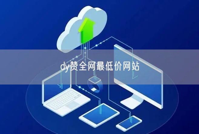 dy赞全网最低价网站