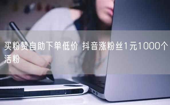 买粉赞自助下单低价 抖音涨粉丝1元1000个活粉