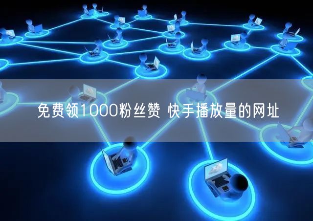 免费领1000粉丝赞 快手播放量的网址