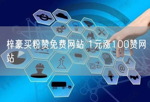 梓豪买粉赞免费网站 1元涨100赞网站