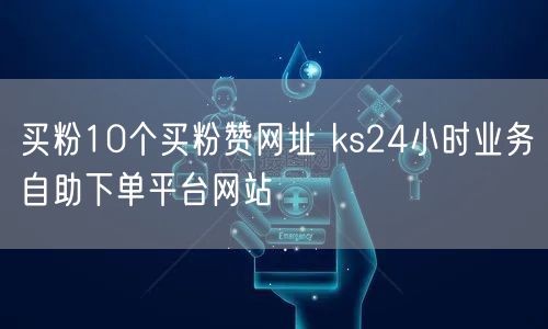 买粉10个买粉赞网址 ks24小时业务自助下单平台网站