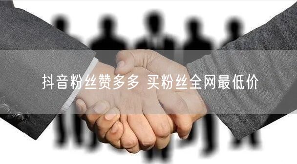 抖音粉丝赞多多 买粉丝全网最低价